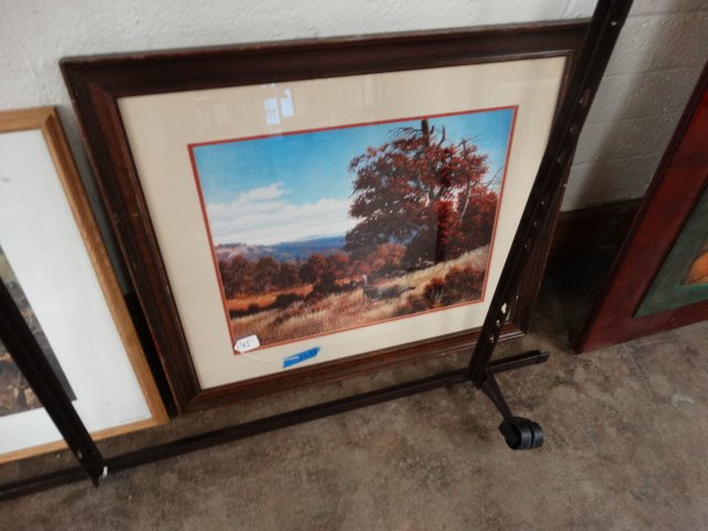 DSC04846